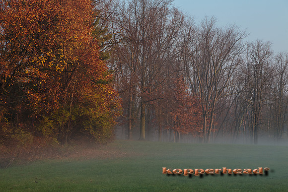 45227 11 2015 Kopperhead