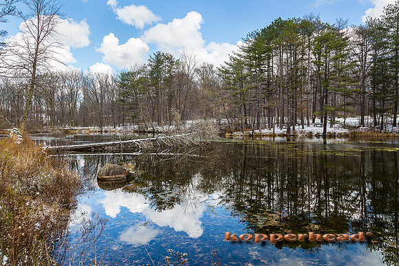 45770 11 2015 Kopperhead