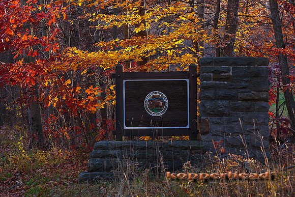 44535 11 2015 Kopperhead