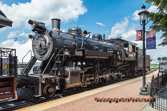 39541 06 2019 Kopperhead