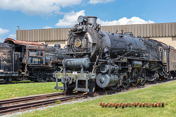 39553 06 2019 Kopperhead