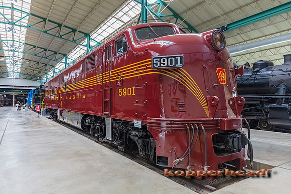 39491 06 2019 Kopperhead