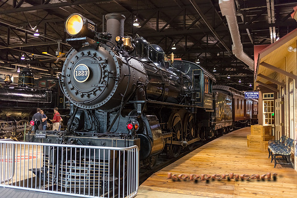 39451 06 2019 Kopperhead