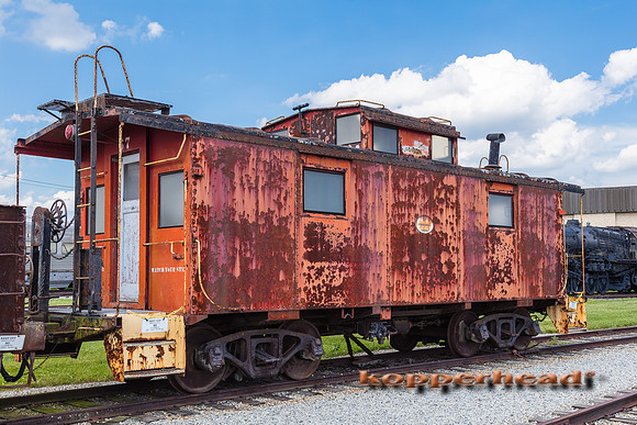 39549 06 2019 Kopperhead