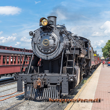 39519 06 2019 Kopperhead