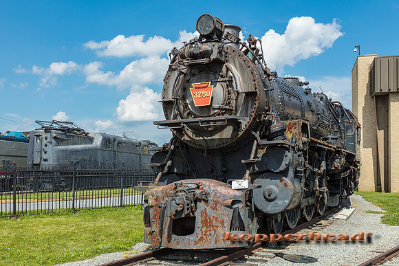 39547 06 2019 Kopperhead
