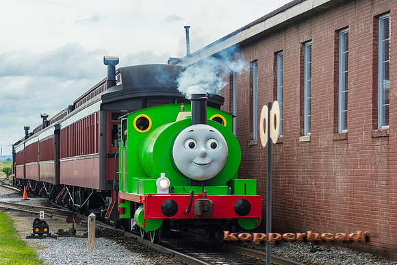 39398 06 2019 Kopperhead