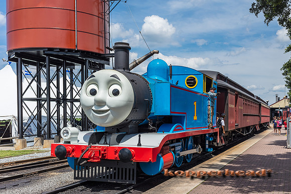39512 06 2019 Kopperhead