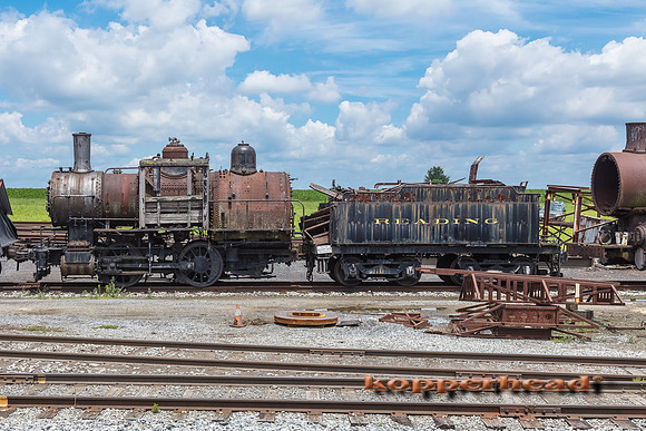 39442 06 2019 Kopperhead