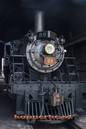 39396 06 2019 Kopperhead