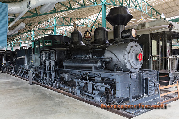 39494 06 2019 Kopperhead