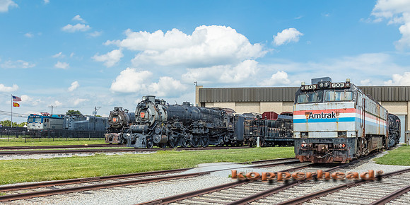 39551 06 2019 Kopperhead