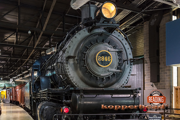 39570 06 2019 Kopperhead