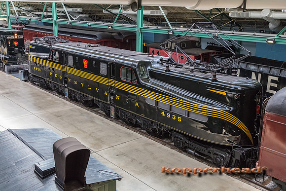 39369 06 2019 Kopperhead