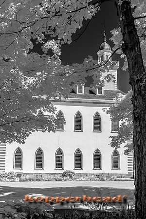 69956ir 09 2016 Kopperhead