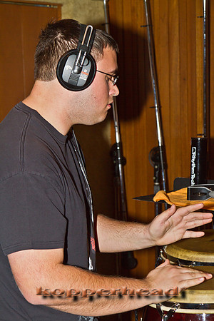 42454 04 2012 Kopperhead