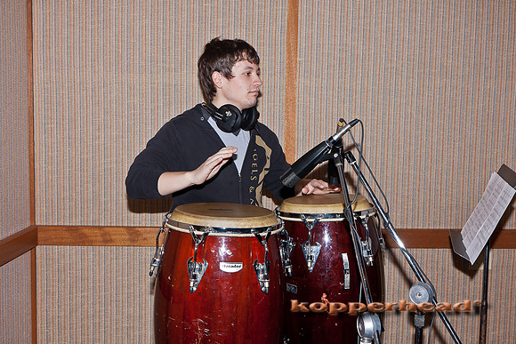 48407 02 2012 Kopperhead