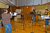 42462 04 2012 Kopperhead