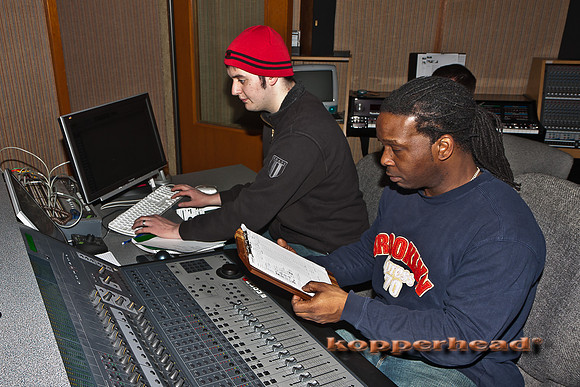 48406 02 2012 Kopperhead