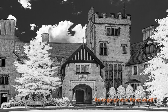 69435ir 05 2016 Kopperhead