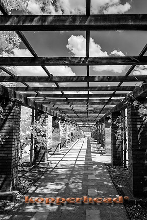 69426ir 05 2016 Kopperhead
