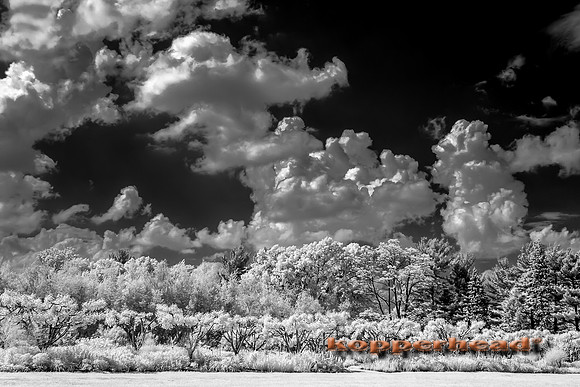 69466ir 05 2016 Kopperhead