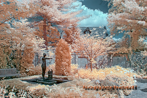 69444ir 05 2016 Kopperhead