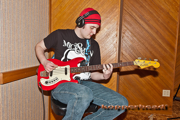 48452 02 2012 Kopperhead