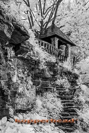 69464ir 05 2016 Kopperhead