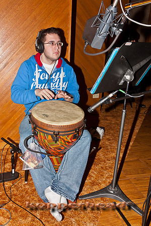 48419 02 2012 Kopperhead