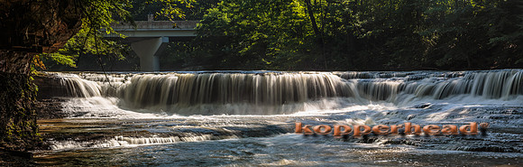 38175p 07 2015 Kopperhead