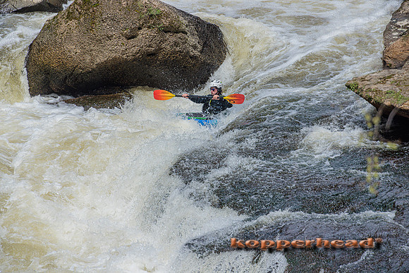 38039 04 2022 Kopperhead
