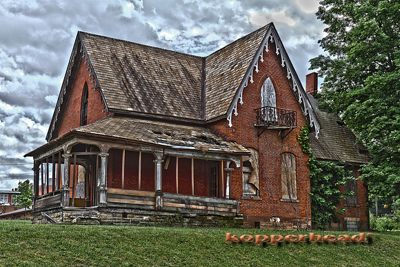 30747h 06 2011 Kopperhead