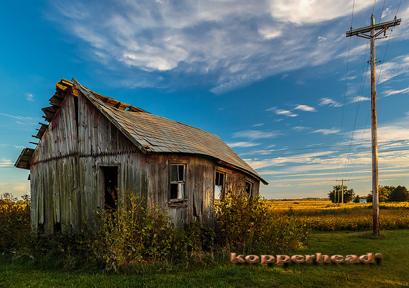 26319 09 2014 Kopperhead