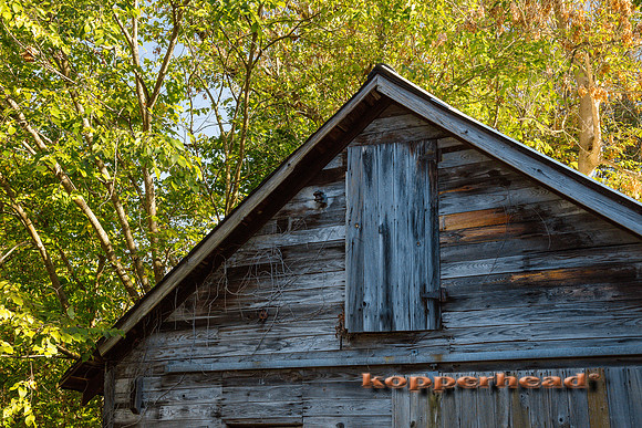11461 10 2017 Kopperhead