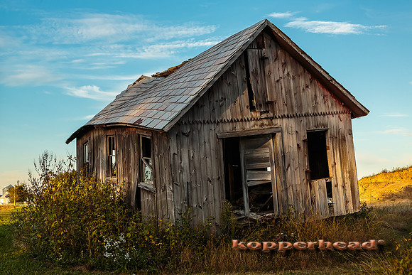 26317 09 2014 Kopperhead
