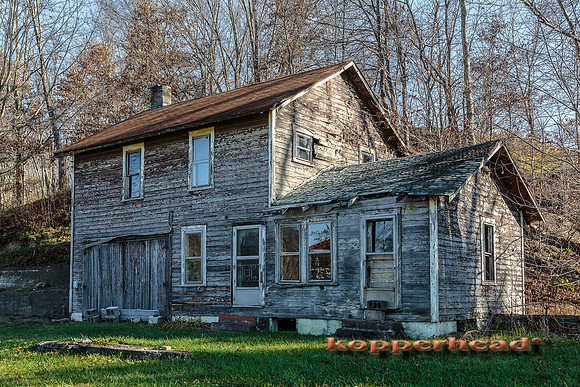 45466 11 2015 Kopperhead