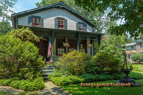 04467 06 2013 Kopperhead