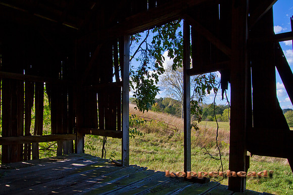 12060x 09 2010 Kopperhead