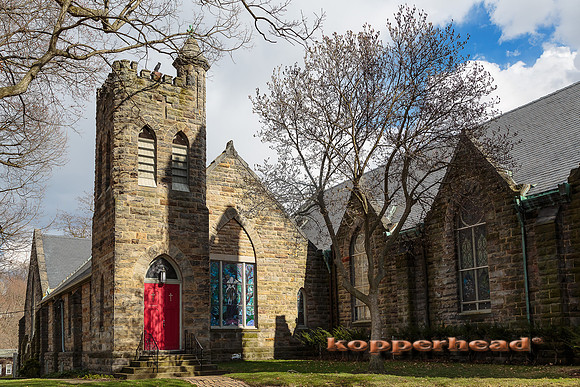 49157 03 2016 Kopperhead