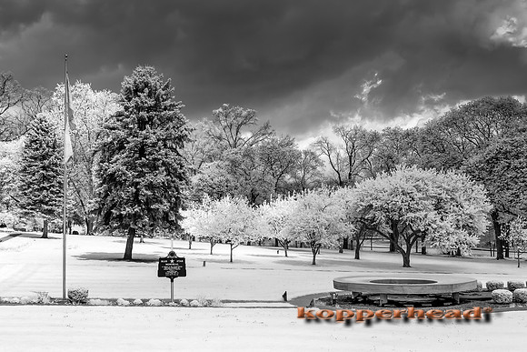 69313ir 04 2016 Kopperhead