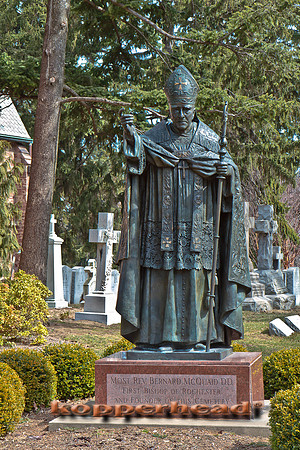 19273 03 2011 Kopperhead