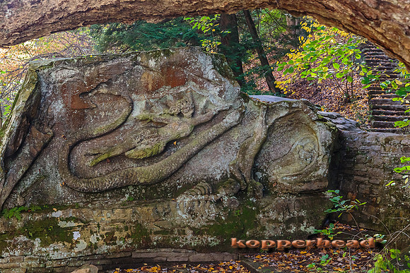 63592 10 2016 Kopperhead