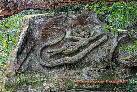 29923hA 08 2018 Kopperhead