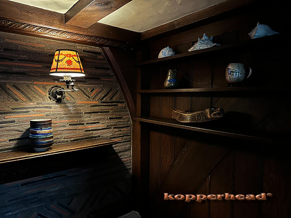01978 pm14 10 2022 Kopperhead