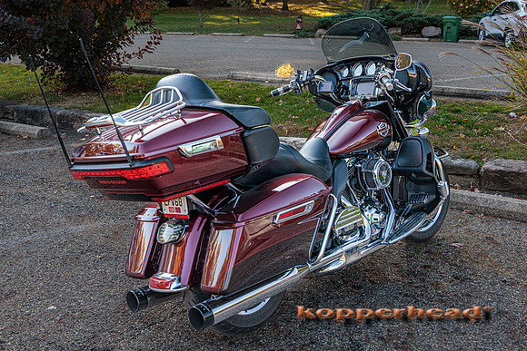 51291 10 2022 Kopperhead