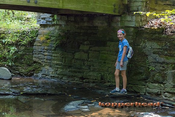 20003 08 2018 Kopperhead