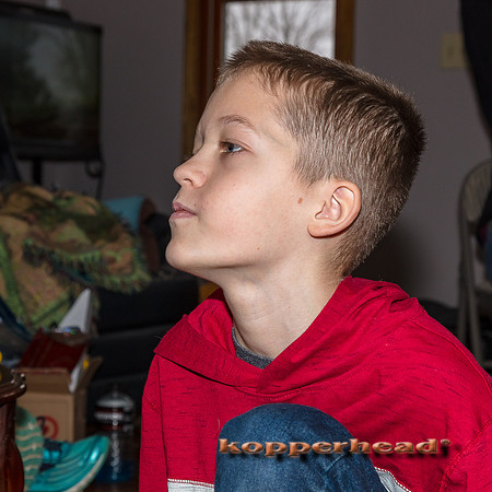 33379 12 2018 Kopperhead