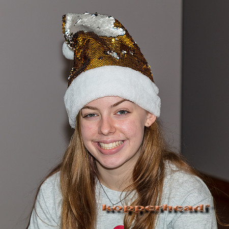 33340 12 2018 Kopperhead