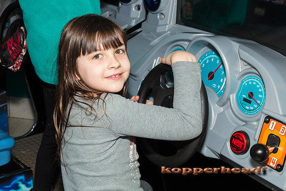 15249 02 2018 Kopperhead